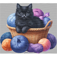 Animal Integration-DW 665